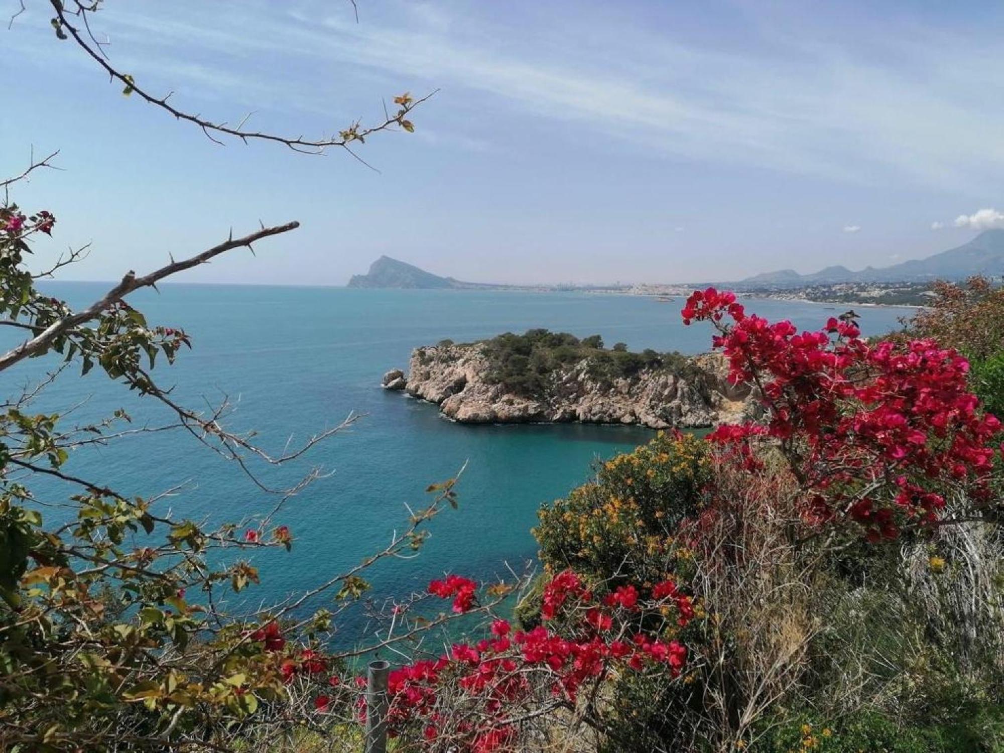 Timora Sea View New Apart' Hipocampos カルプ エクステリア 写真